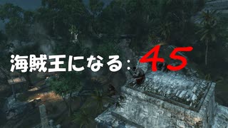 Assassin's Creed IV Black Flag　海賊王になる: 45