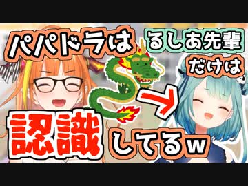 パパドラ、ふぁんでっど疑惑をかけられる