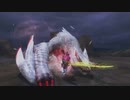 【MHF-Z】極み駆けるナルガクルガ 太刀 8分32秒53  TA wiki rules