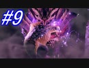【MHR】おともと行くへっぽこハンター珍道中☆パート9【実況】