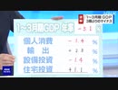 【動画解説】GDP 昨年度1995年以降最大の下落 要因は？