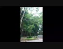 おちょやん  最終回具体的感想（場面編）&周辺情報　＋おまけアフタートーク