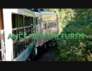 ALICE HIGASHI FUREN (W47)