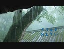 アメノミコト