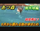 あつまれどうぶつの森　６月から獲れる海の幸まとめ！南半球編！海の幸図鑑コンプするために！　【あつ森】