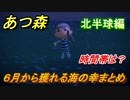 あつまれどうぶつの森　６月から獲れる海の幸まとめ！北半球編！　海の幸図鑑コンプするために！【あつ森】