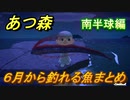 あつまれどうぶつの森　６月から釣れる魚まとめ！釣れる場所と時間帯も紹介！南半球編！　【あつ森】