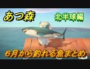 あつまれどうぶつの森　６月から釣れる魚まとめ！釣れる場所と時間帯も紹介！北半球編！　【あつ森】
