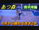 あつまれどうぶつの森　６月から捕れる虫まとめ！捕れる場所と時間帯も紹介！南半球編！　【あつ森】