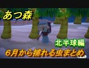 あつまれどうぶつの森　６月から捕れる虫まとめ！捕れる場所と時間帯も紹介！北半球編！　【あつ森】