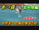 あつまれどうぶつの森　６月までの海の幸まとめ！（北半球編）　海の幸図鑑コンプするために　【あつ森】