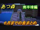 あつまれどうぶつの森　６月までの魚まとめ！場所と時間帯も紹介（南半球編）　魚図鑑コンプするために【あつ森】