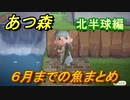 あつまれどうぶつの森　６月までの魚まとめ！場所と時間帯も紹介（北半球編）魚図鑑コンプのために【あつ森】
