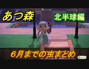 あつまれどうぶつの森　６月までの虫まとめ！場所と時間帯も紹介！（北半球編）【あつ森】
