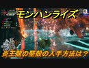 モンハンライズ　炎王龍の堅殻の入手方法は？　＃５７４【ＭＨＲ】