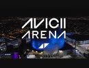 Avicii - For A Better Day (Arena )