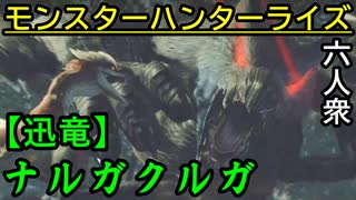 【モンスターハンターライズ】変わらない安心感  VS「下位」ナルガクルガ【おおはし･お奉行･ウメダ】Part15