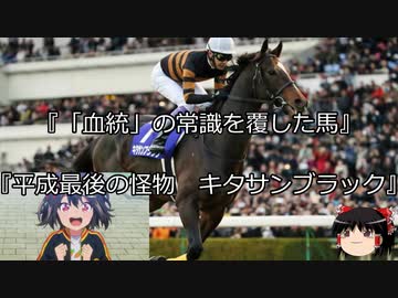【競馬】ゆっくりさんと未来に語り継ぎたい名馬たち その021【ゆっくり朗読】