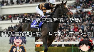 【競馬】ゆっくりさんと未来に語り継ぎたい名馬たち その021【ゆっくり朗読】