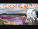 [紲星あかり]CX-3でぶらりドライブ ~もっと知りたい西日本~ part16 [VOICEROID車載]