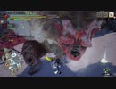 [MHR] 俺の嫁を一人前のハンターにする！～vsゴシャハギ編～part13