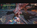 [MHR] 俺の嫁を一人前のハンターにする！～vsリオレウス編～part17
