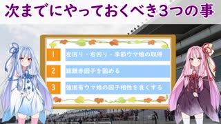 【ウマ娘攻略】次のタウラス杯までにやるべき３つの事