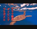 スキューバダイビング・ウミガメと泳ぐ