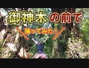 【ハマーダ】御神木の前で踊ってみた【夜もすがら君想ふ】縦動画です！