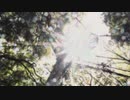 【オリジナル楽曲】『翠色梢の舞』空蝉UtuSemi