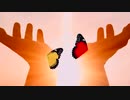 The Butterfly of Love