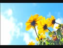 【東北きりたん】空の席【NEUTRINO】