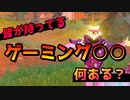 皆が持ってるゲーミング○○って何がある?? 【フォートナイト】