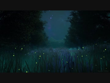 【作業用BGM】 真夜中の森で (ASMR)