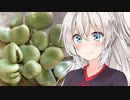 あかりの晩酌 三杯目「そら豆の塩茹でとスーパードライ生ジョッキ缶」