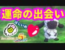 【ルーンファクトリー５】モコモコをお世話したいめ★