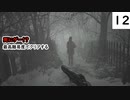 死にゲーじゃないけど死にゲーなバイオ８実況プレイpart12