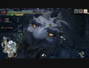 [MHR] 俺の嫁を一人前のハンターにする！～vsベリオロス編～part19