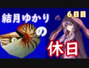 【VOICEROID実況プレイ】結月ゆかりの休日６日目【アクアノートの休日】