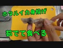 【料理動画】2019年に八重津浜海水浴場で獲ったホタルイカを茹でて食べる！富山湾　ホタルイカ