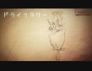 ドライフラワー　唄ってみた【さらまんだあ】