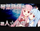 琴葉姉妹が心中する