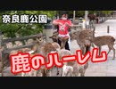 奈良の鹿公園でハーレム体験してきた