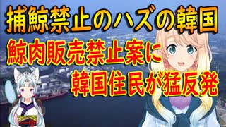 【韓国の反応】「生存が懸かった問題だ」鯨肉の販売禁止案に住民らが猛反発【世界の〇〇にゅーす】