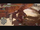 [MHR] 俺の嫁を一人前のハンターにする！～vｓディアブロス編～part28