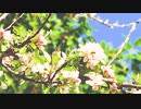 Activities of Nature Dynamics