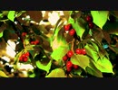 Activities of Nature Dynamics