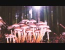 Activities of Nature Dynamics