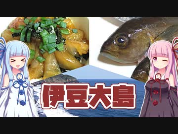 大型客船 さるびあ丸 で伊豆大島へ釣り旅行 日本唯一の砂漠を見たり温泉に入ったり 海と山を堪能してきた ニコニコニュース オリジナル