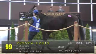 【2021 北海道トレーニングセール】上場番号#91～120